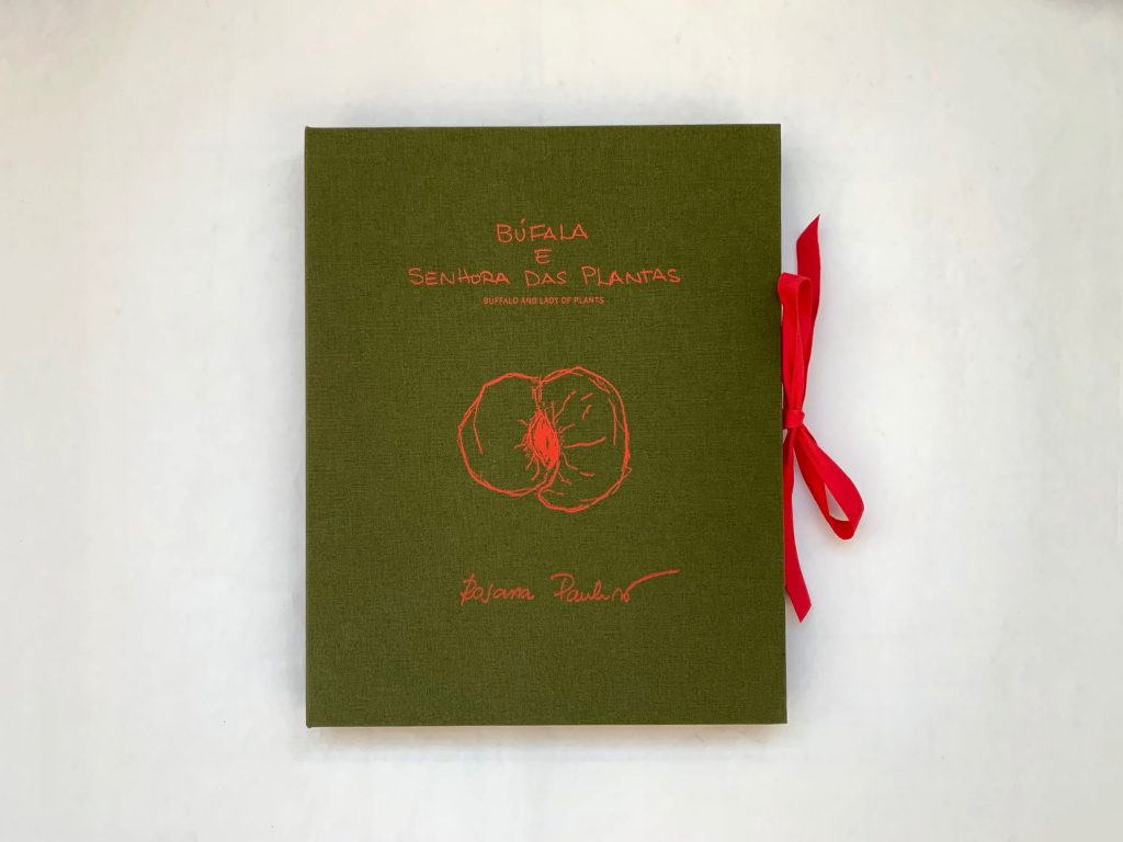 Livros AQA: Búfala e Sanhora das Plantas_Rosana Paulino