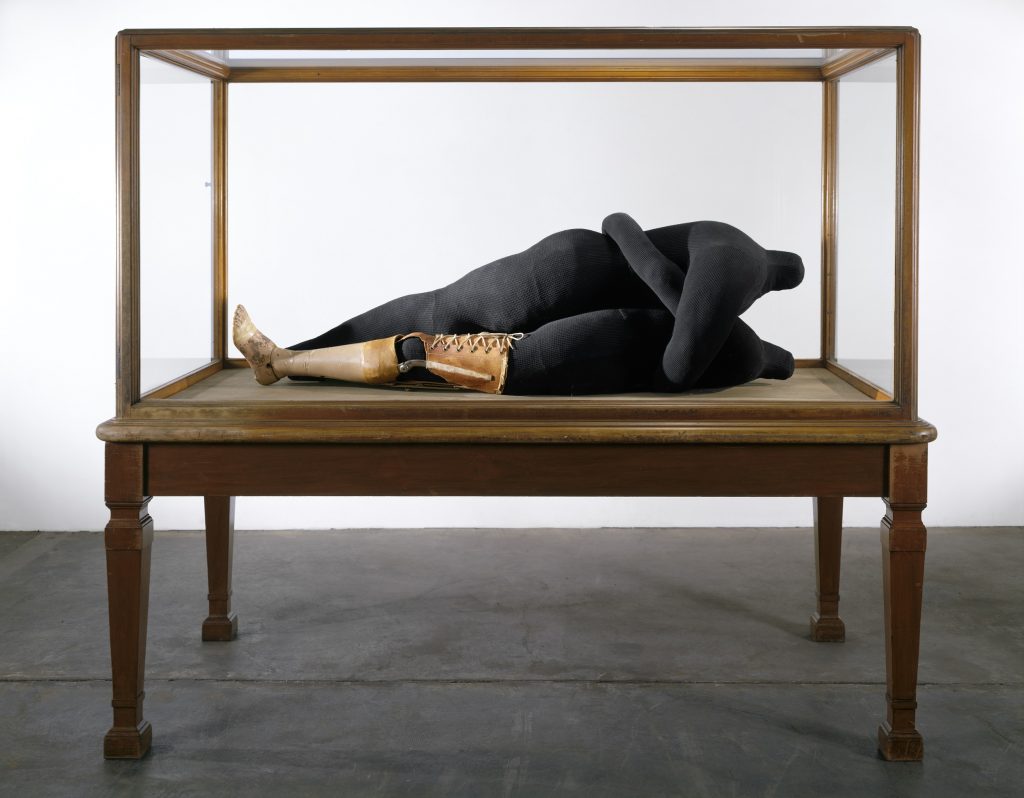 Louise Bourgeois Couple IV, 1997 Fabric, leather, stainless steel and plastic 50.8 x 165.1 x 77.5 cm. © The Easton Foundation/VAGA at ARS, NY and DACS, London 2021. Photo: Christopher Burke