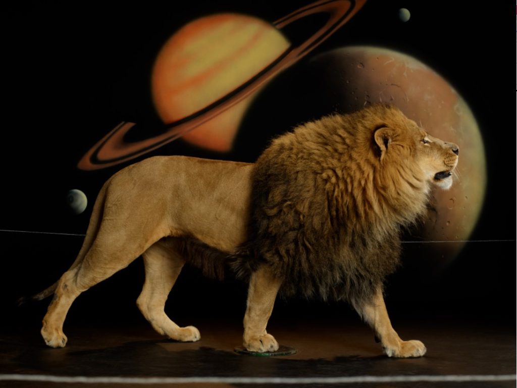 Lion (Body) I. Awol Erikzu, 2022.